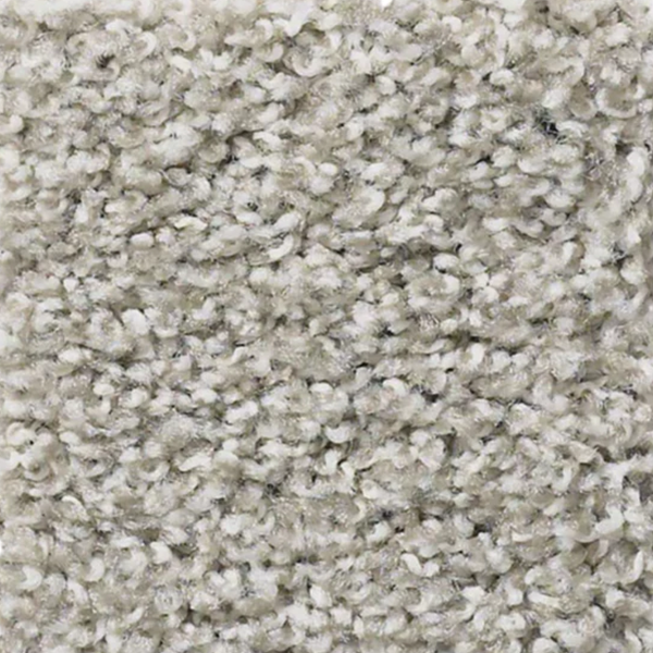 Spellbound | Winter Birch