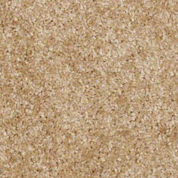 Monopolize | Worn Saddle