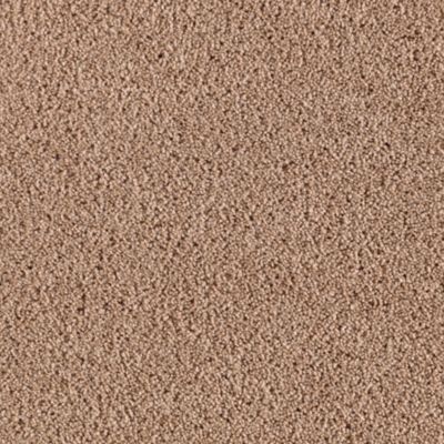 Regents Park | Summer Harvest