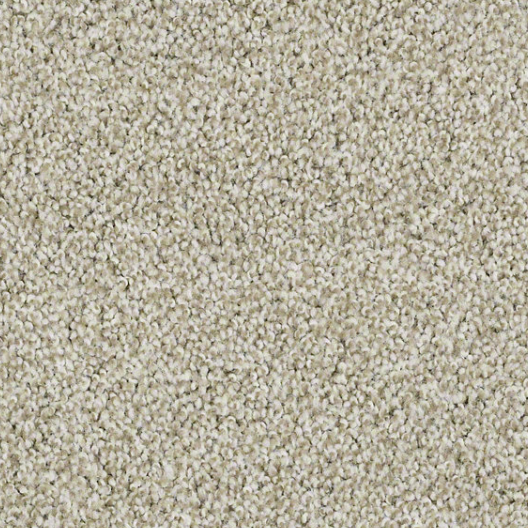 Gold Solution | Quiet Tan