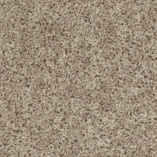 Style 50 | Pale Shadow