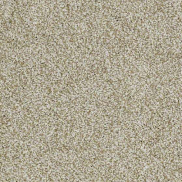 Ultimate Statement | Vintage Tan