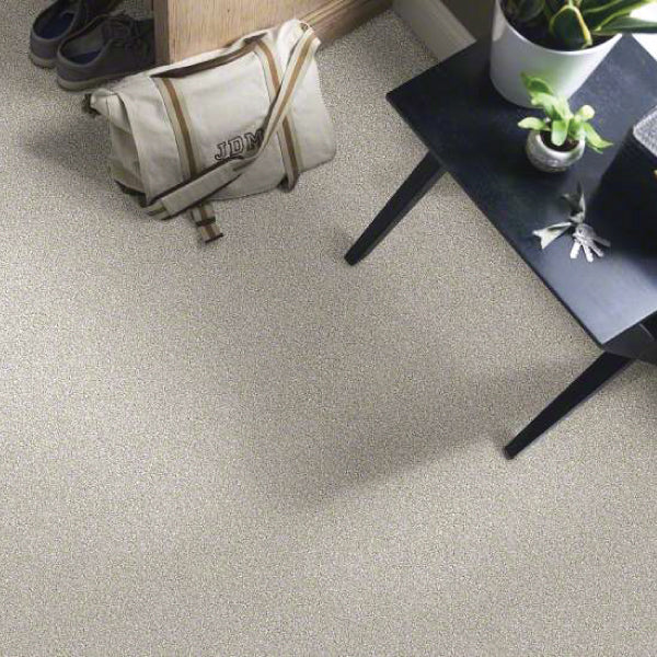 Gold Solution | Winter Birch