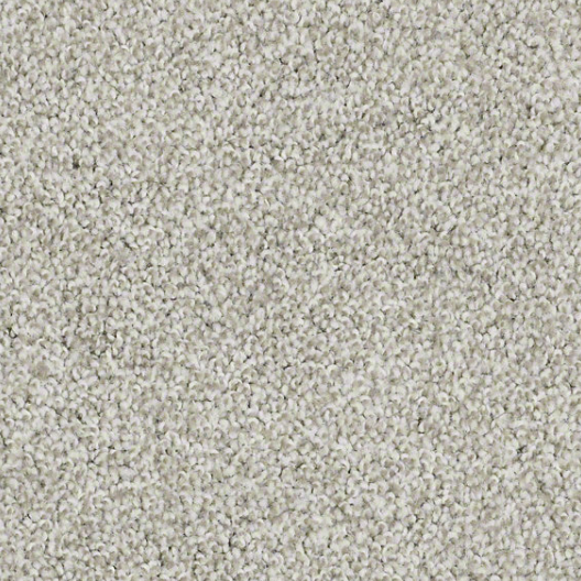 Gold Solution | Winter Birch